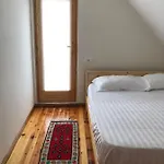 Red Goat Hostel *