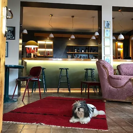 Red Goat تيرانا