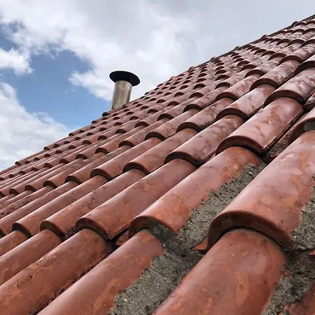 Red Goat * تيرانا