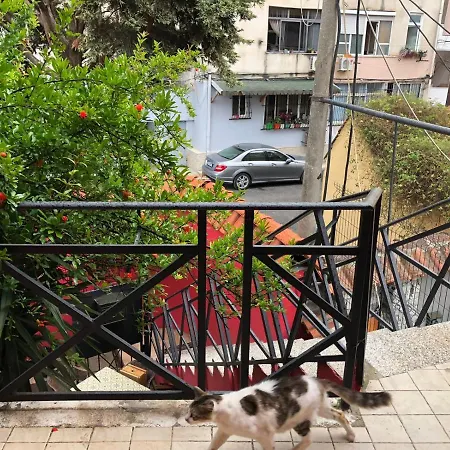 Red Goat * 티라나