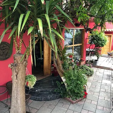 Red Goat Hostel Τίρανα