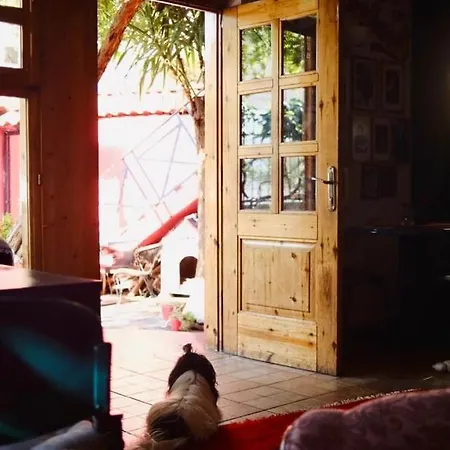 Red Goat بيت شباب