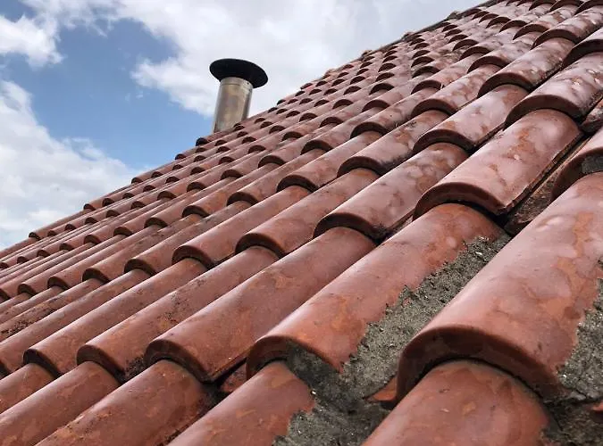 Red Goat * 地拉那