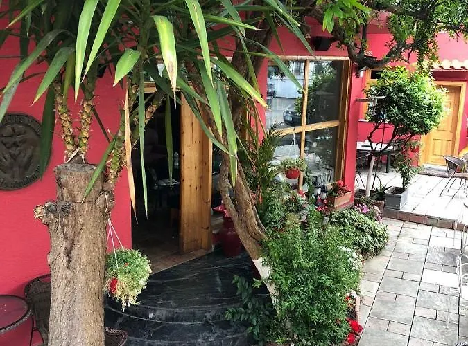 Red Goat Ostello Tirana